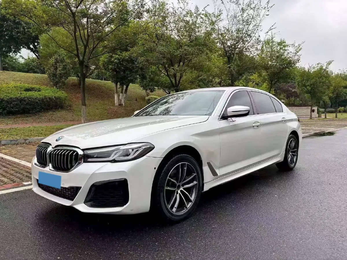 2021 BMW 5 Series 2.0T 184HP L4 8AT,autocango,china used car exporter,china ev exporter,chinese used car exporter,chinese used ev exporter