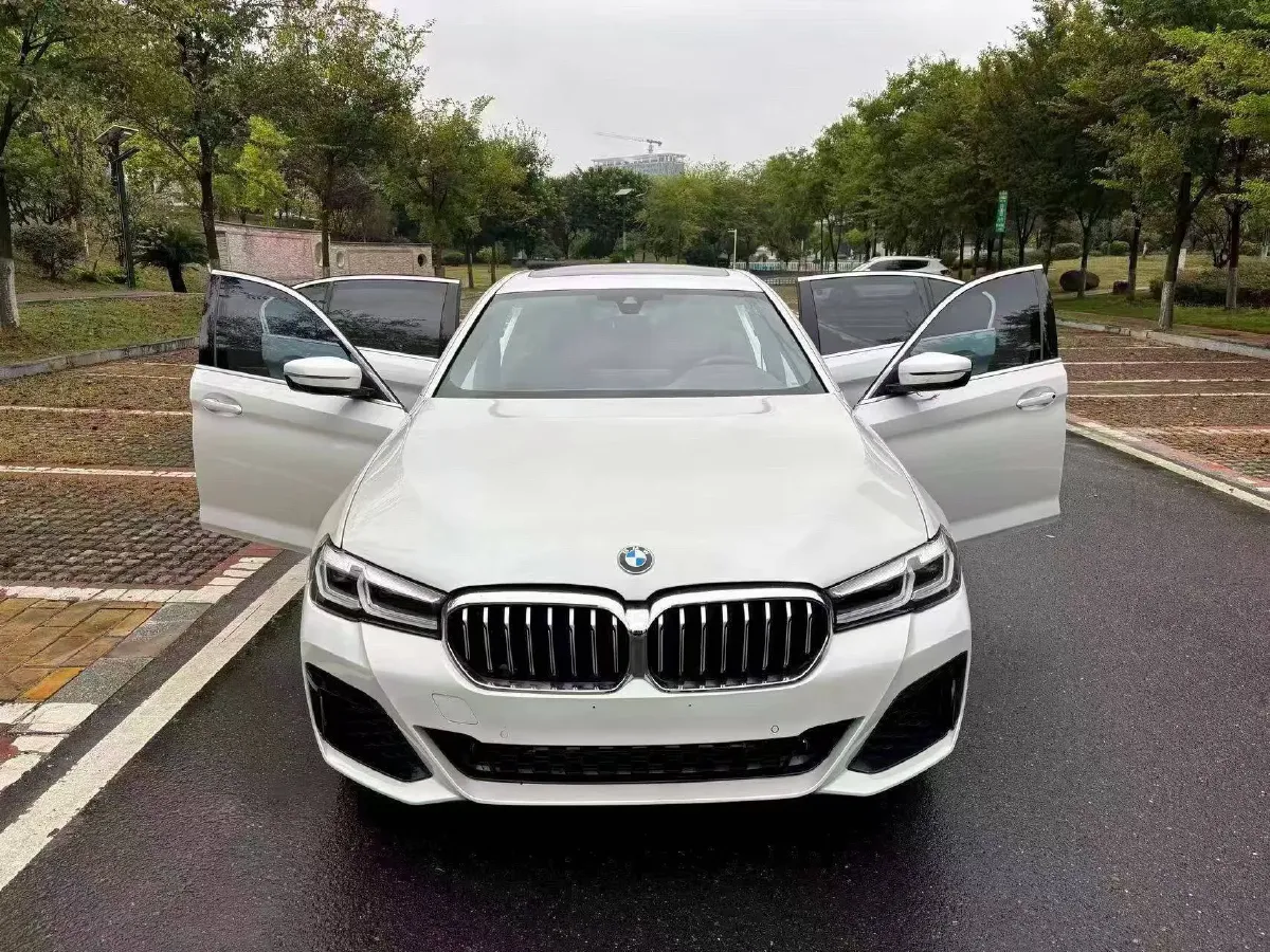 2021 BMW 5 Series 2.0T 184HP L4 8AT,autocango,china used car exporter,china ev exporter,chinese used car exporter,chinese used ev exporter