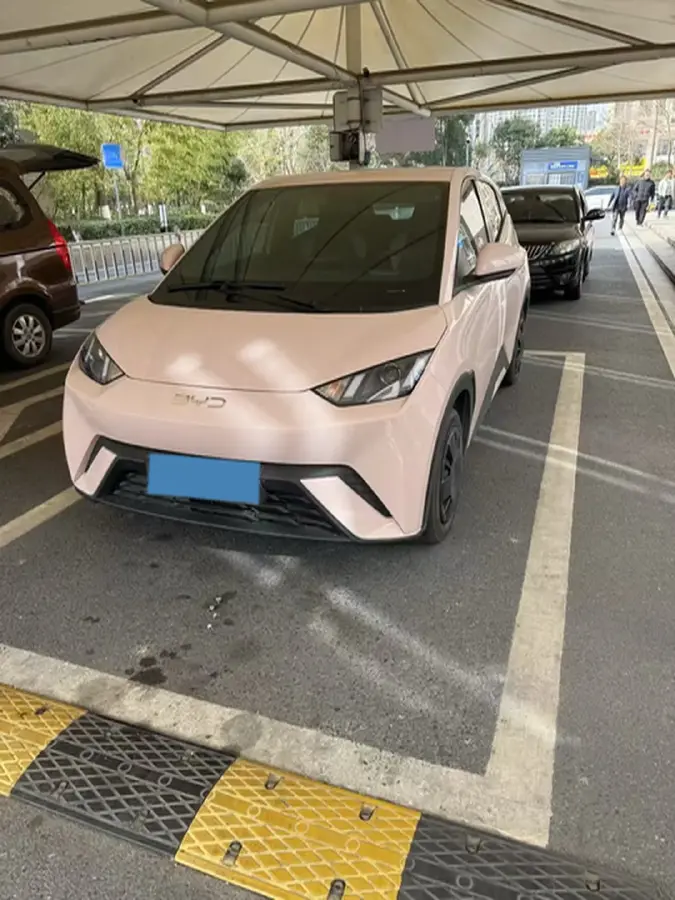 2023 BYD Seagull BEV 30.08KWH