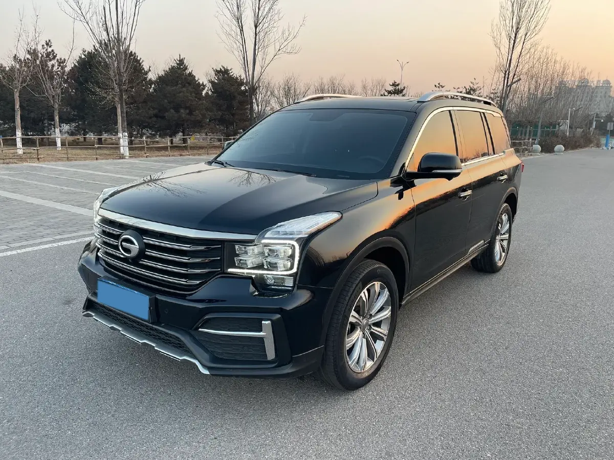 2021 GAC Trumpchi GS8 2.0T 252HP L4 6AT