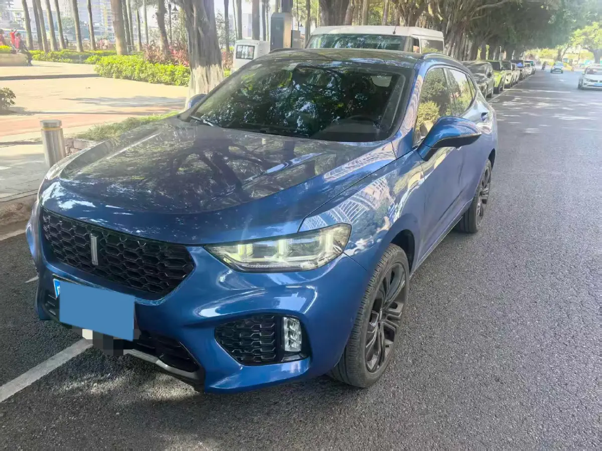 2017 WEY VV5 2.0T 197HP L4 7DCT