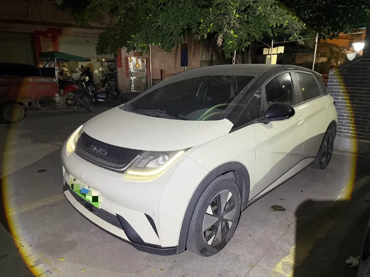 2023 BYD Dolphin BEV 44.928KWH