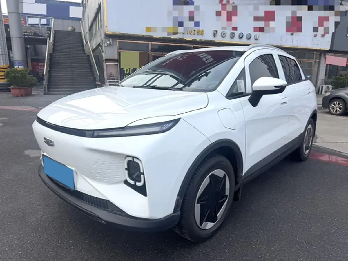 2024 Geometry E BEV 29.67KWH