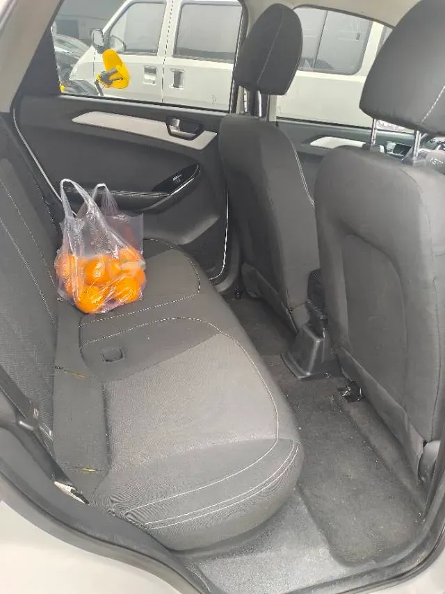 2020 Neta N01 BEV 35KWH,autocango,china used car exporter,china ev exporter,chinese used car exporter,chinese used ev exporter