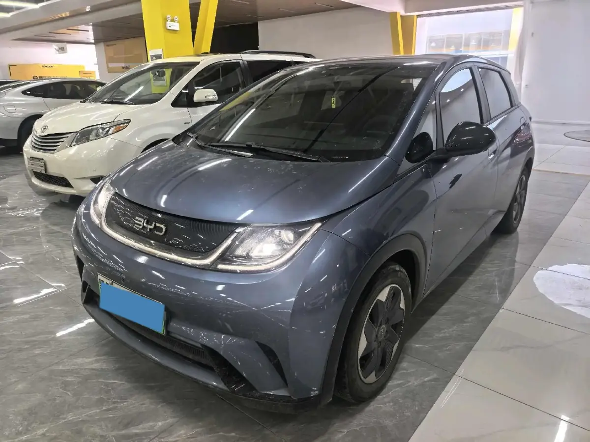 2024 BYD Dolphin BEV 44.928KWH