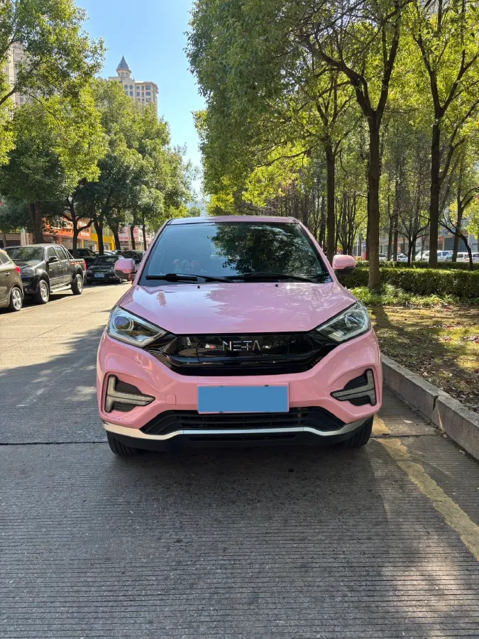 2020 Neta N01 BEV,autocango,china used car exporter,china ev exporter,chinese used car exporter,chinese used ev exporter