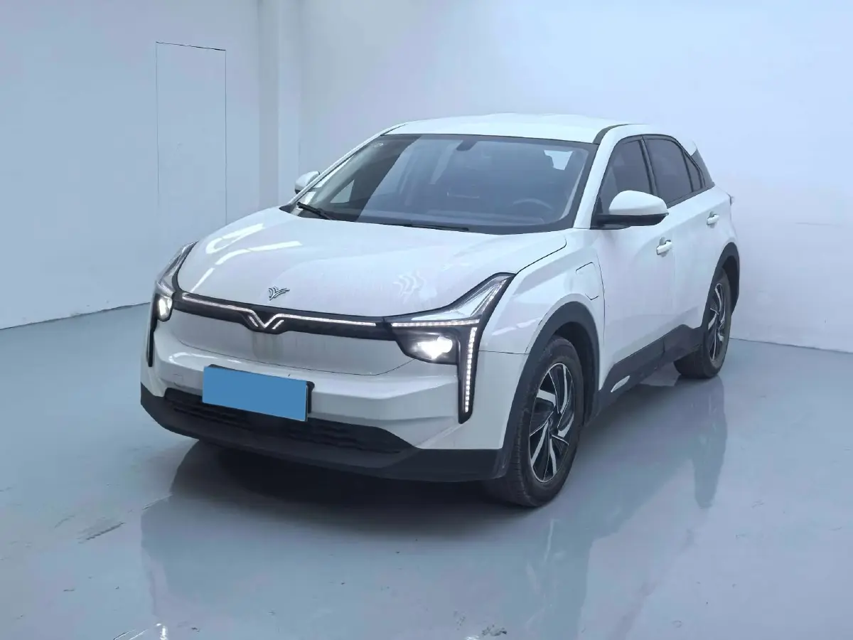 2021 Neta U BEV 54.34KWH