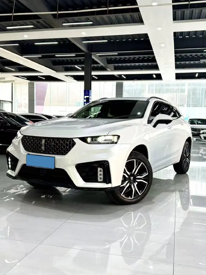 2020 WEY VV7 2.0T 227HP L4 7DCT