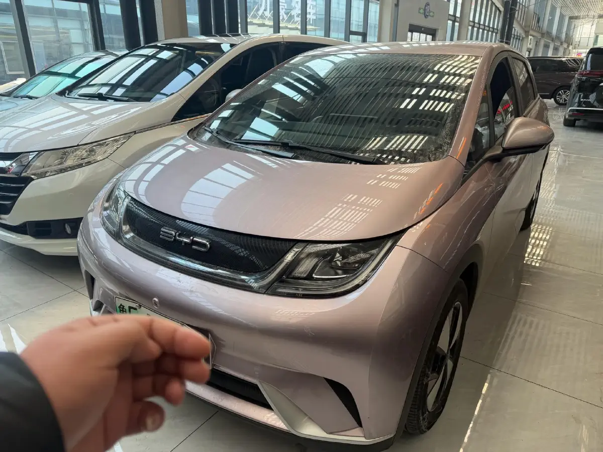 2023 BYD Dolphin BEV 44.928KWH