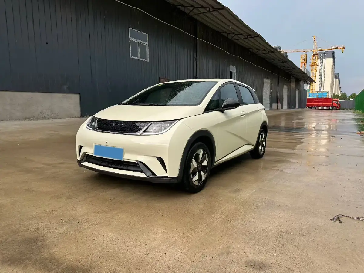 2025 BYD Dolphin BEV 44.928KWH