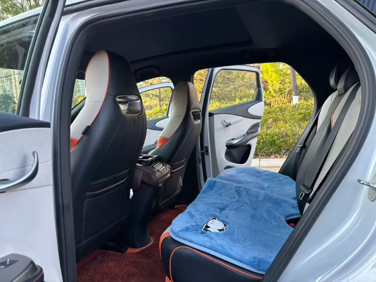 2021 BYD Yuan Pro BEV 50.1KWH,autocango,china used car exporter,china ev exporter,chinese used car exporter,chinese used ev exporter