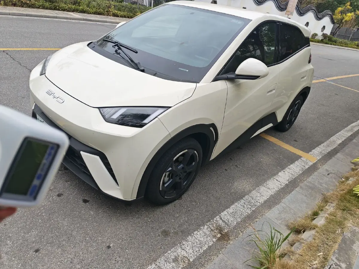 2023 BYD Yuan Pro BEV 38KWH