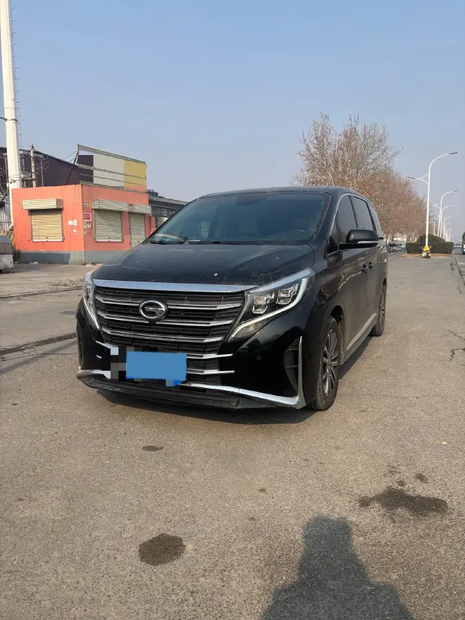 2021 GAC Trumpchi M8 2.0T 252HP L4 8AT