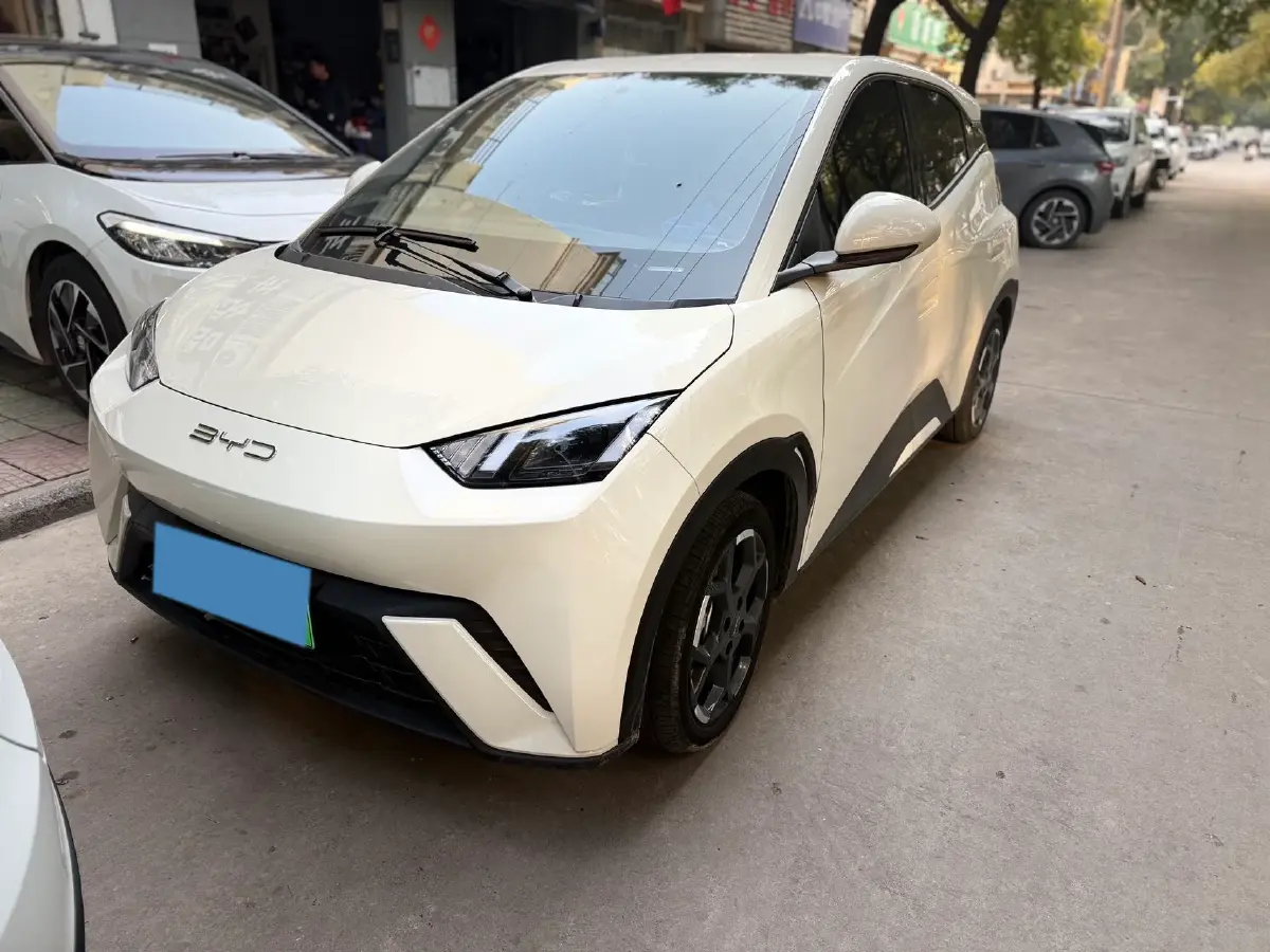 2025 BYD Seagull BEV 30.08KWH
