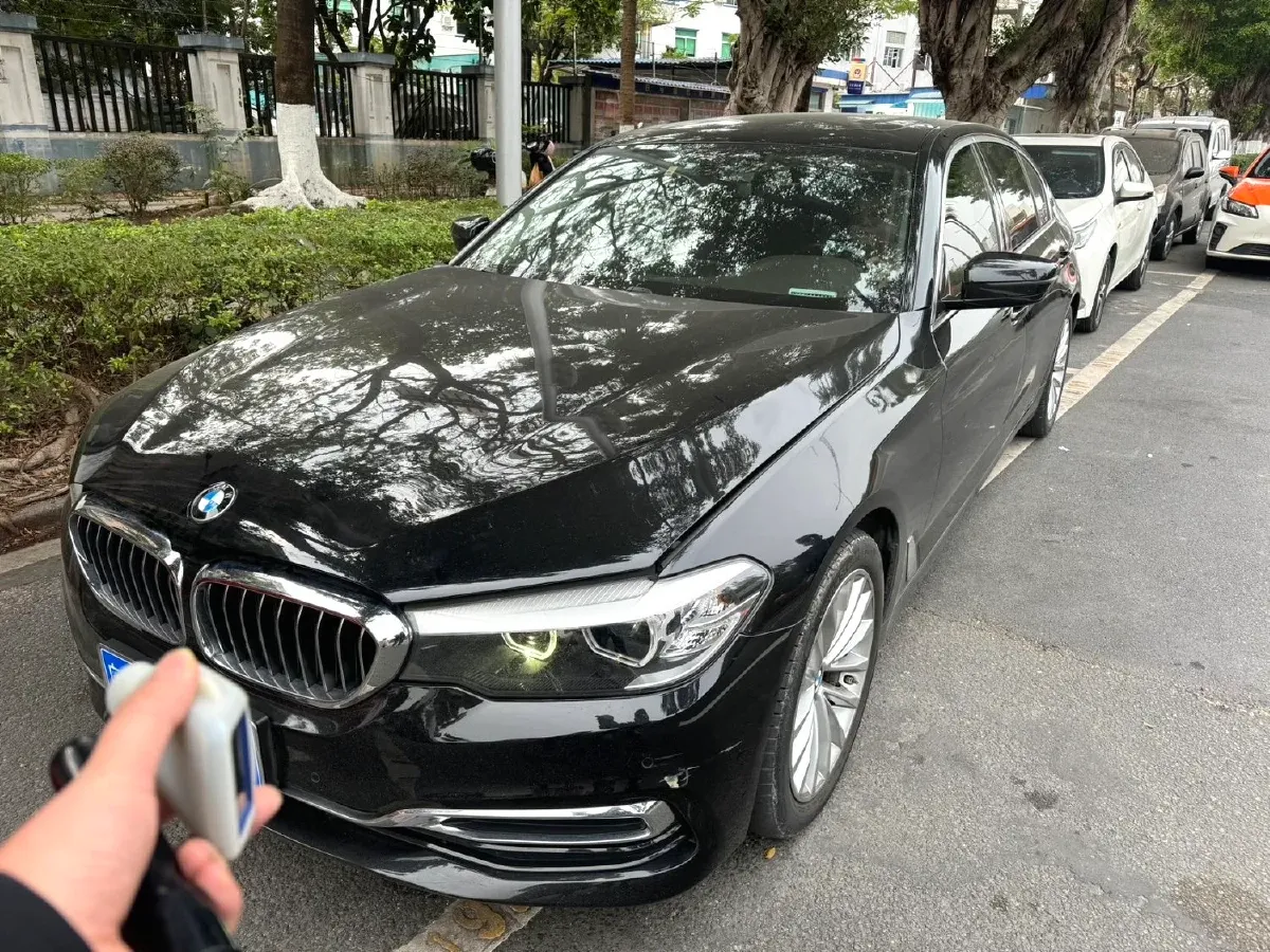 2020 BMW 5 Series 2.0T 184HP L4 8AT,autocango,china used car exporter,china ev exporter,chinese used car exporter,chinese used ev exporter