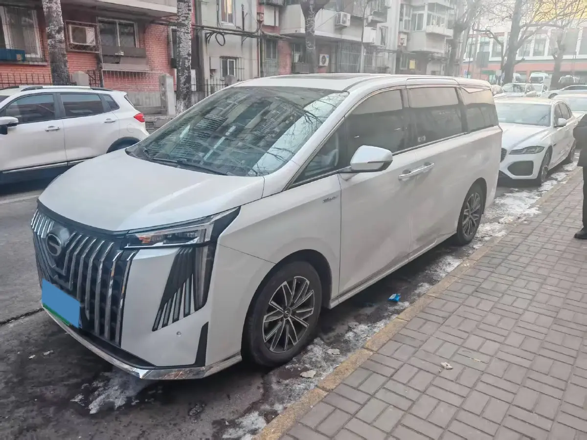 2024 GAC Trumpchi M8 2.0T 252HP L4 8AT