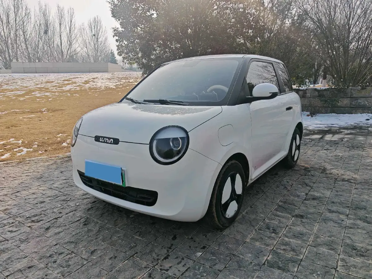 2022 Levdeo Mango BEV 17.28KWH