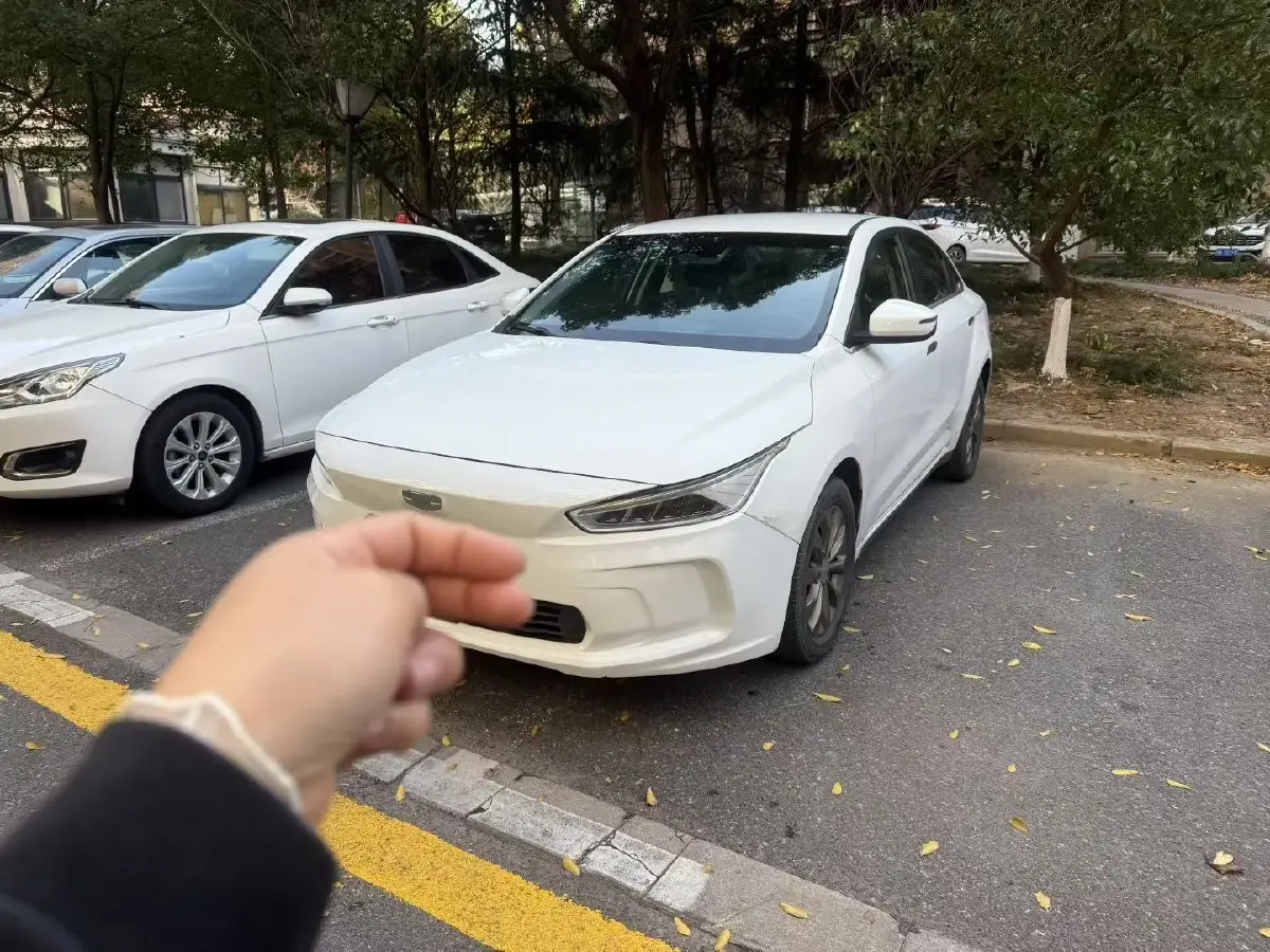 2019 Geometry A BEV 51.9KWH