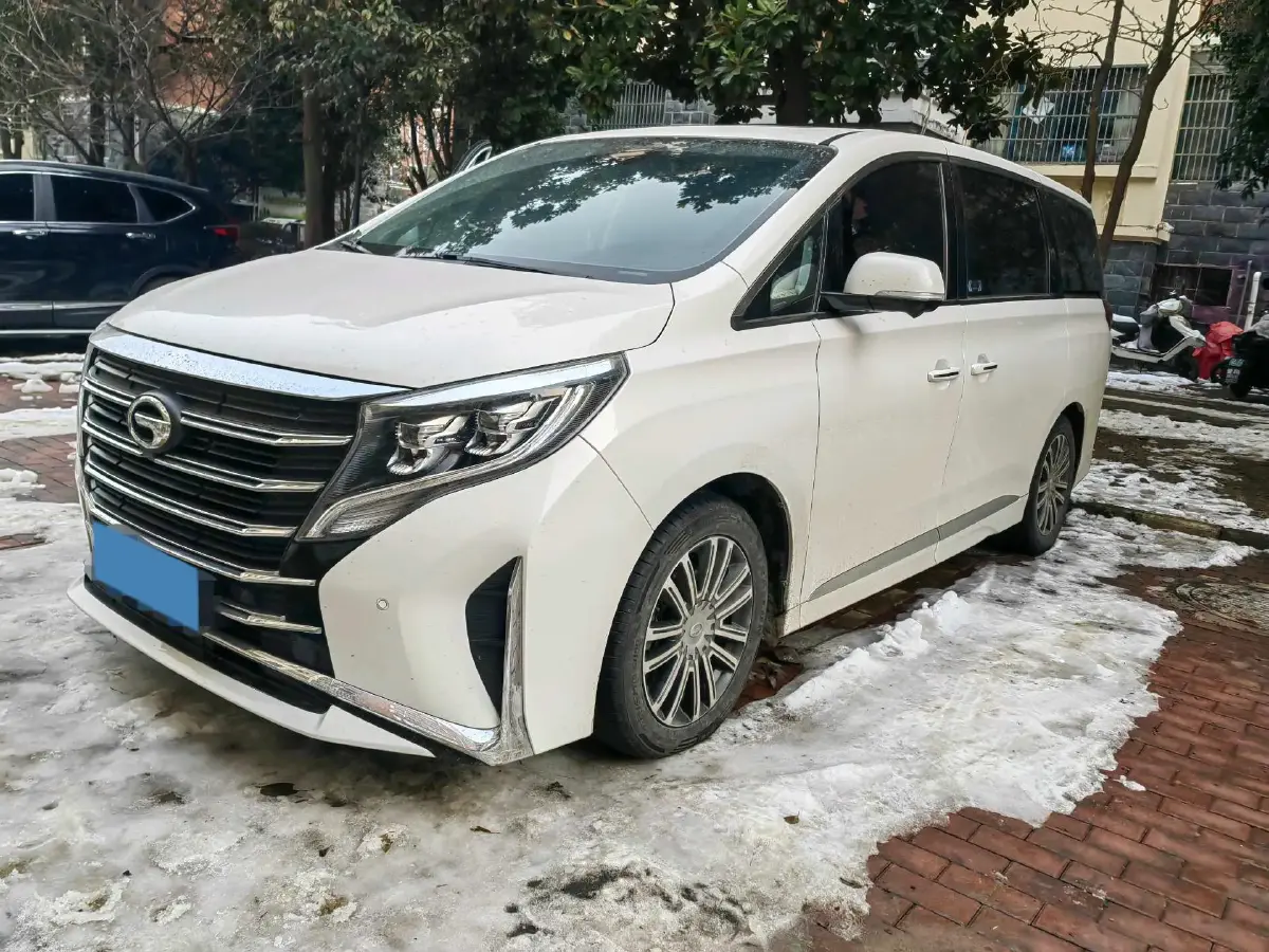 2021 GAC Trumpchi M8 2.0T 252HP L4 8AT