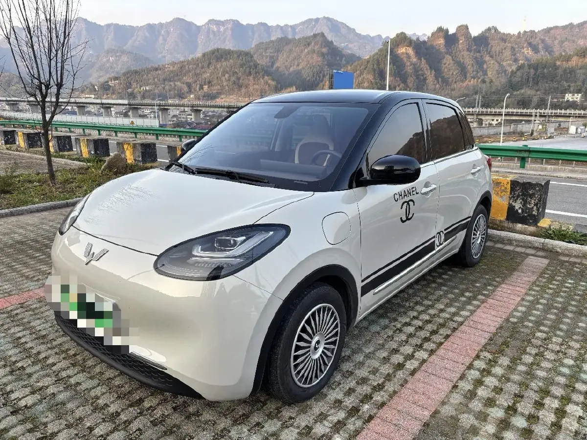 2023 WuLing BinGuo BEV 37.9KWH