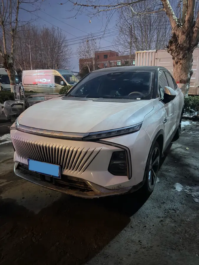 2022 Roewe Whale 2.0T 231HP L4 8AT