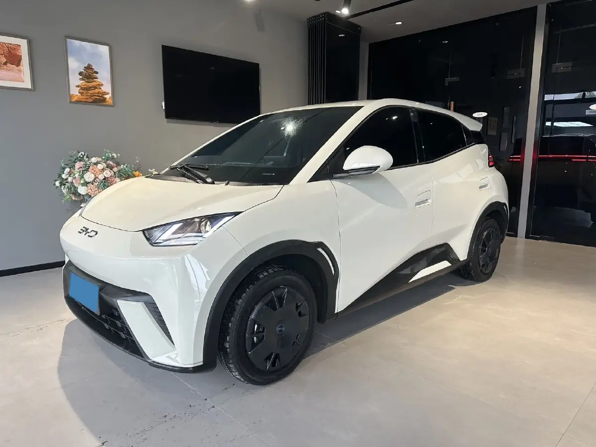 2024 BYD Seagull BEV 30.08KWH
