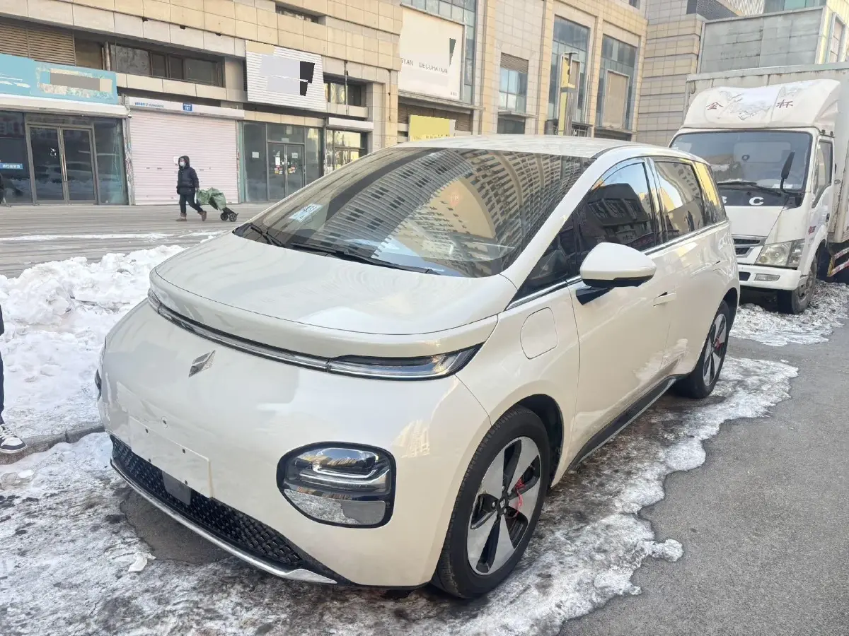 2023 BaoJun Cloud BEV 50.6KWH