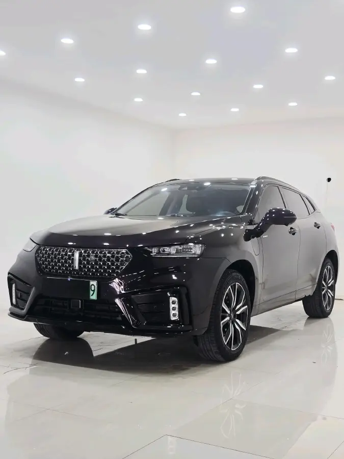 2020 WEY VV7 2.0T 227HP L4 7DCT PHEV