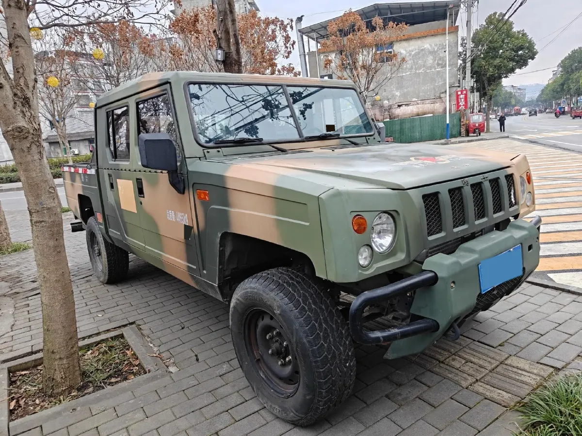 2020 DaYun Pickup 2.0T 163HP L4 6MT,autocango,china used car exporter,china ev exporter,chinese used car exporter,chinese used ev exporter