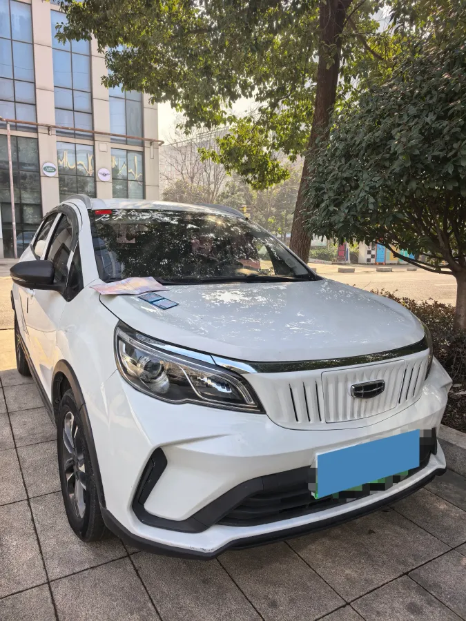 2021 Geometry EX3 BEV 37.23KWH,autocango,china used car exporter,china ev exporter,chinese used car exporter,chinese used ev exporter