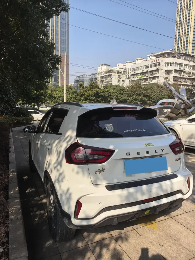 2021 Geometry EX3 BEV 37.23KWH,autocango,china used car exporter,china ev exporter,chinese used car exporter,chinese used ev exporter