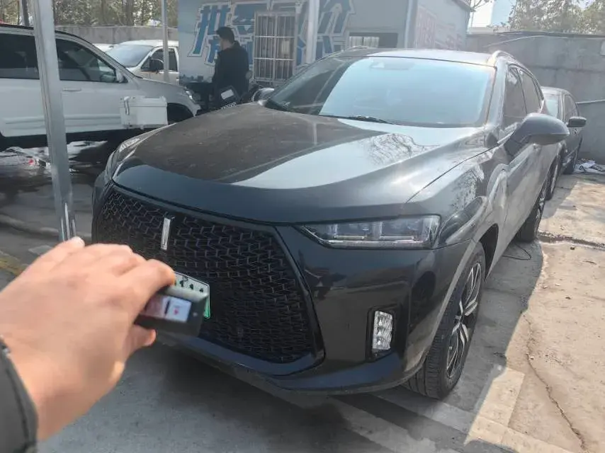 2018 WEY P8 2.0T 234HP L4 6DCT PHEV 12.96KWH