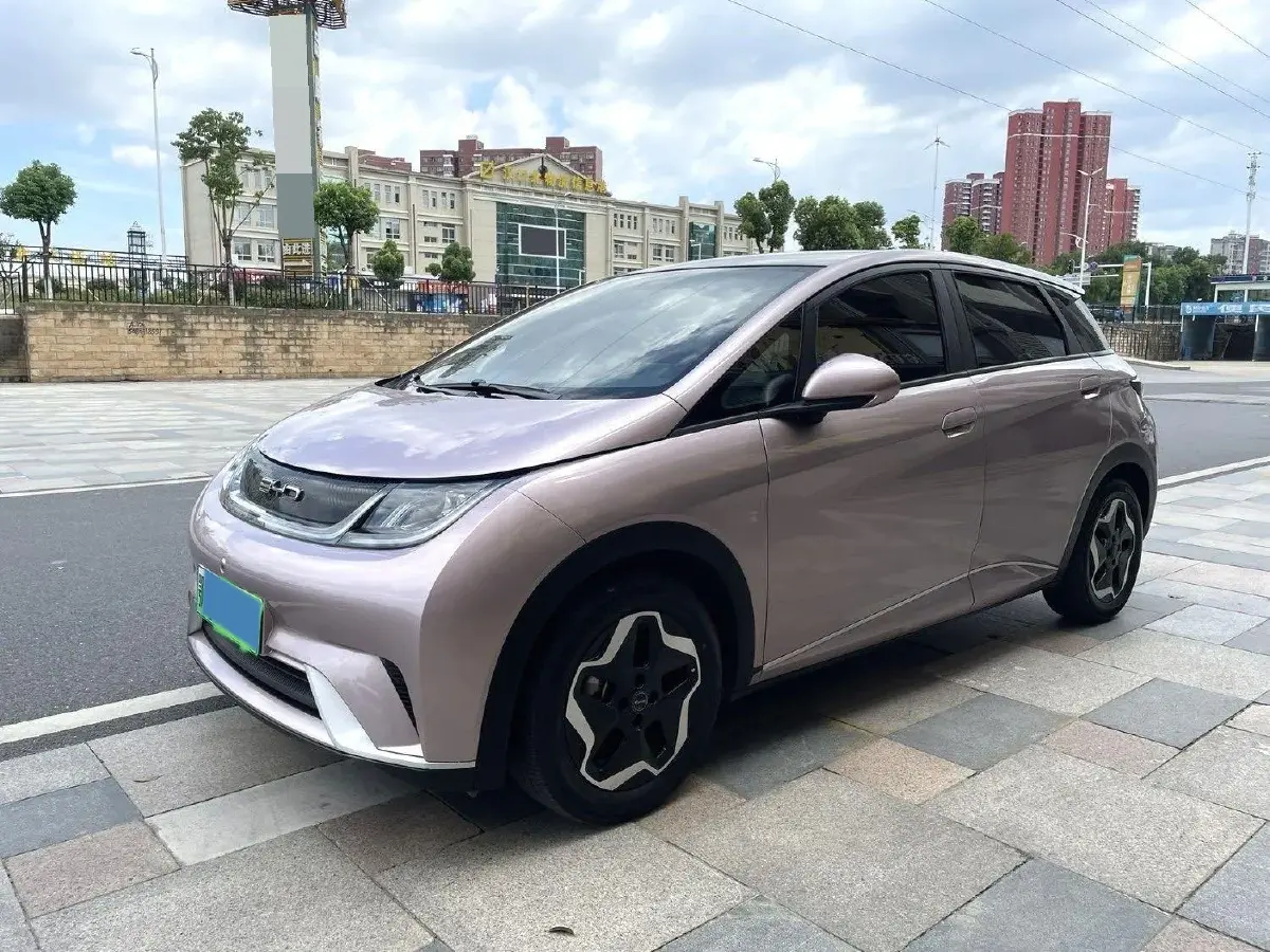 2021 BYD Yuan Pro BEV 50.1KWH
