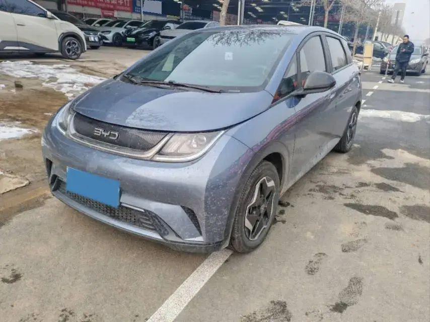 2025 BYD Dolphin BEV 44.928KWH