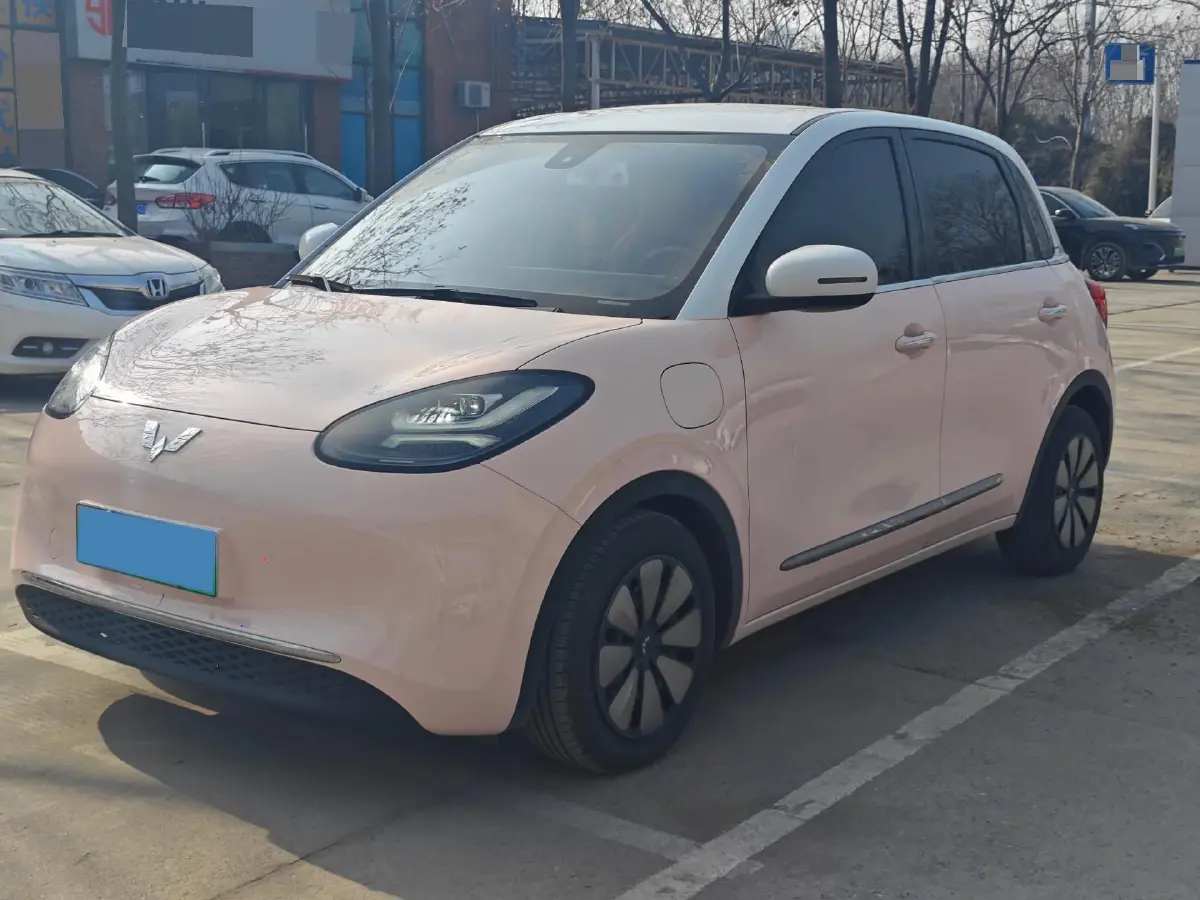 2023 WuLing BinGuo BEV 31.9KWH