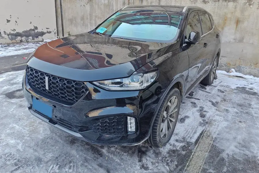 2018 WEY VV6 2.0T 197HP L4 7DCT