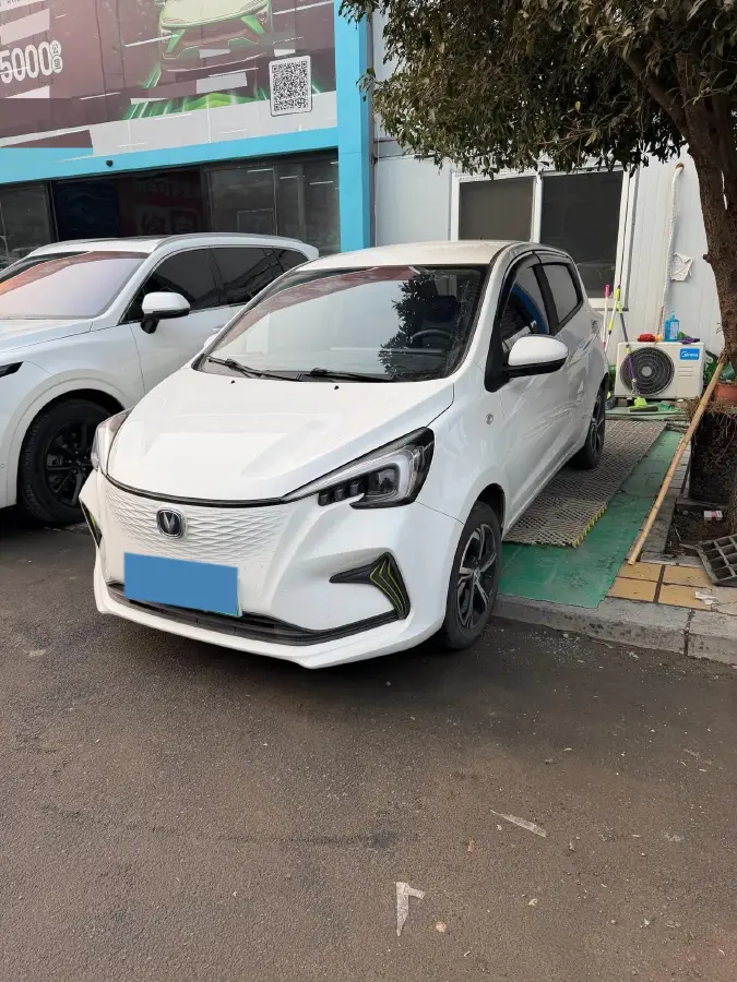 2020 ChangAn BenBen E-Star BEV 32.2KWH