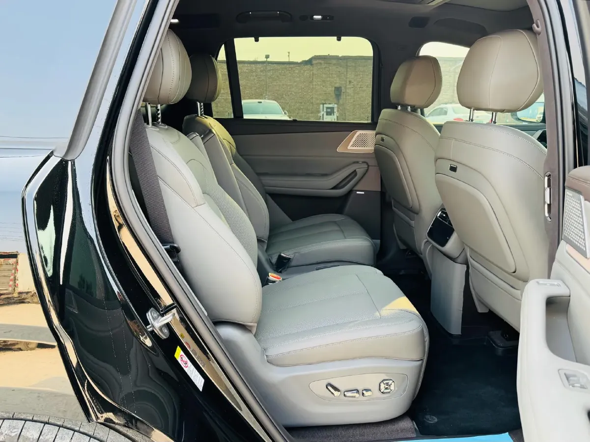 2025 Denza DenzaN8L 2.0T 207HP L4 E-CVT PHEV,autocango,china used car exporter,china ev exporter,chinese used car exporter,chinese used ev exporter