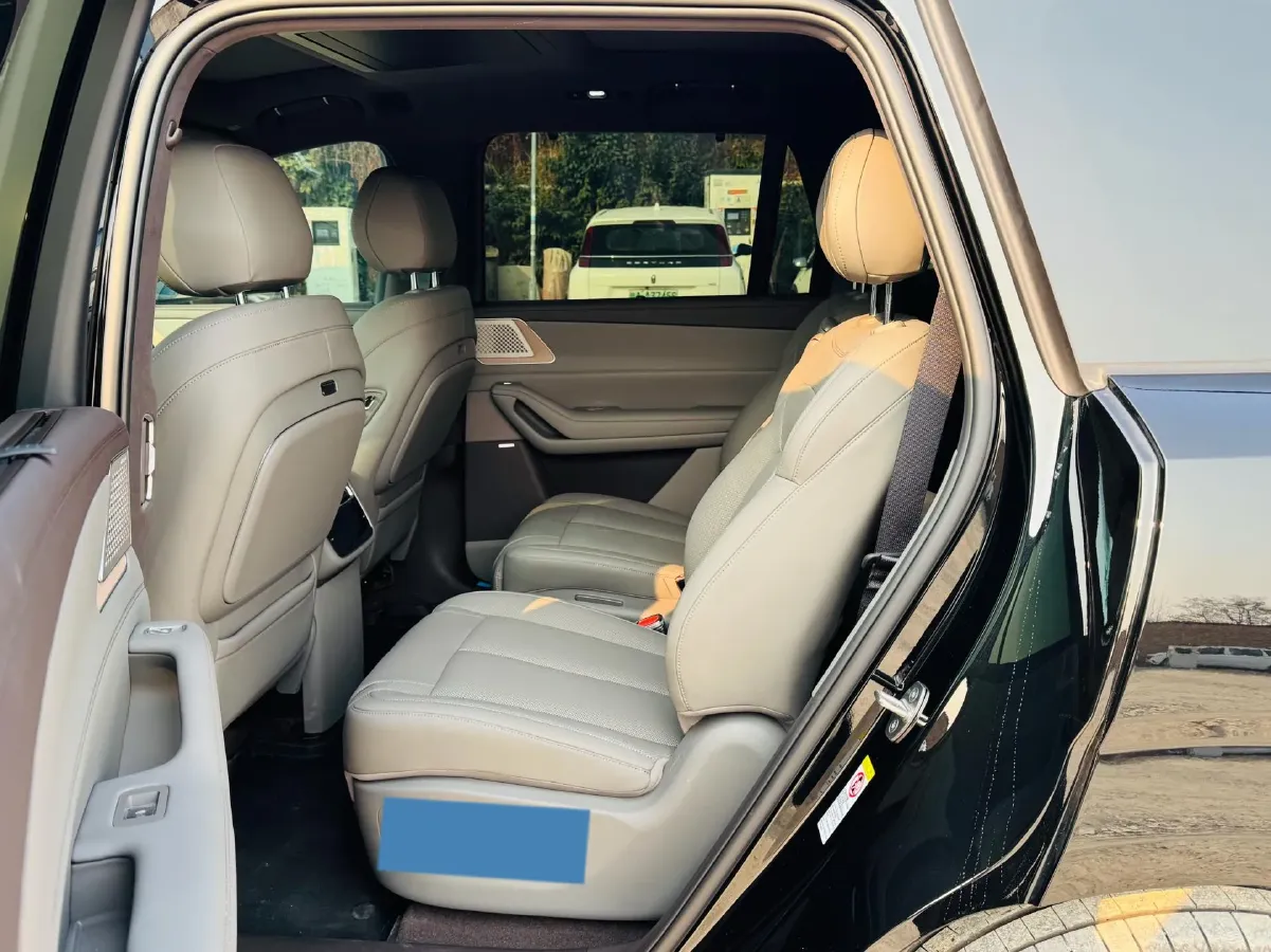 2025 Denza DenzaN8L 2.0T 207HP L4 E-CVT PHEV,autocango,china used car exporter,china ev exporter,chinese used car exporter,chinese used ev exporter