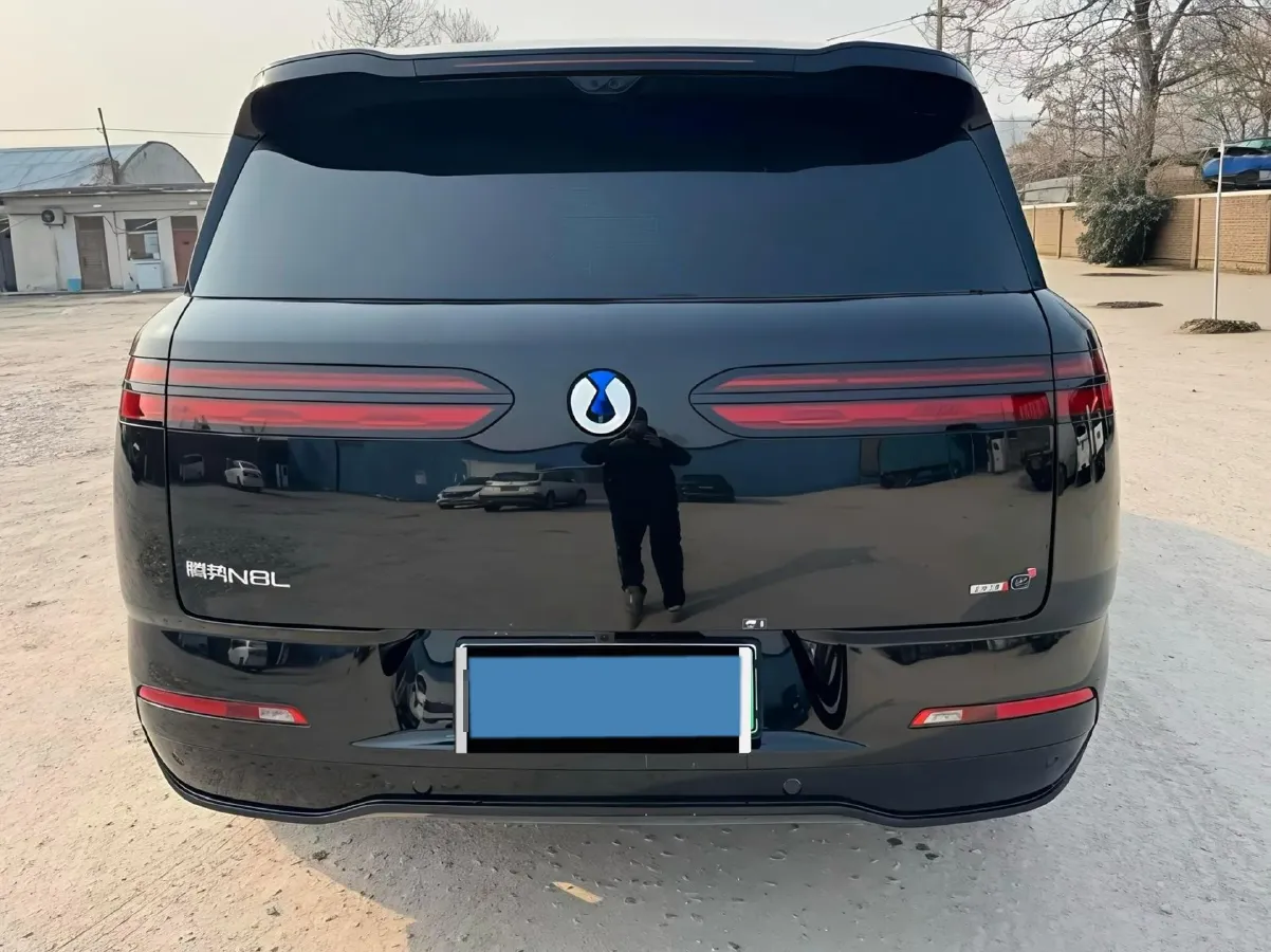 2025 Denza DenzaN8L 2.0T 207HP L4 E-CVT PHEV,autocango,china used car exporter,china ev exporter,chinese used car exporter,chinese used ev exporter