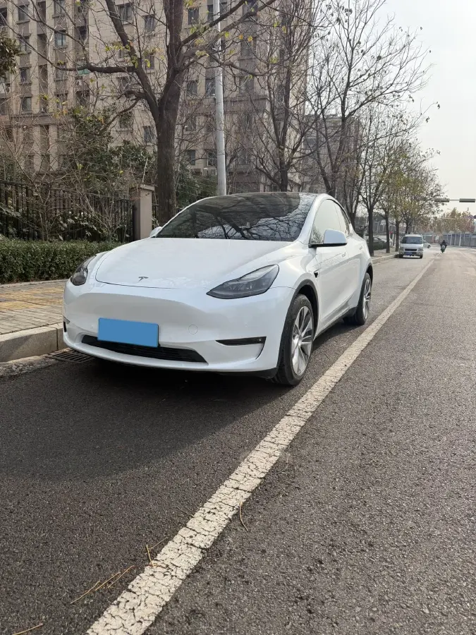 2021 Tesla Model Y BEV 76.8KWH