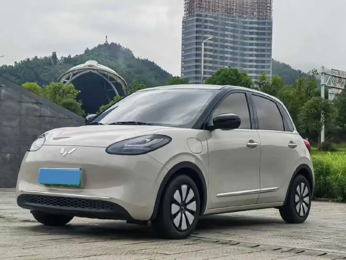 2023 WuLing BinGuo BEV 31.9KWH