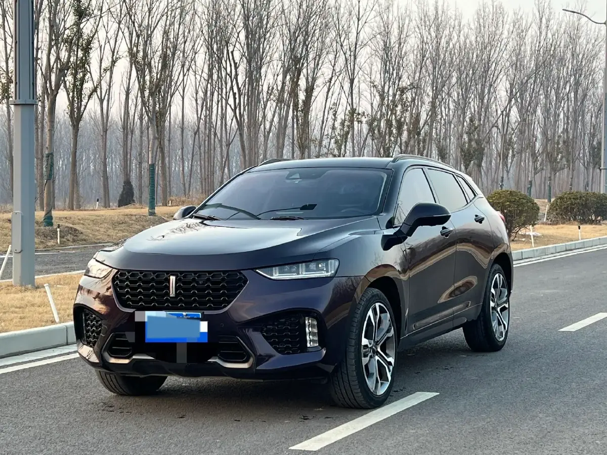 2017 WEY VV7 2.0T 234HP L4 7DCT