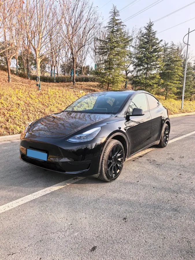 2022 Tesla Model Y BEV 60KWH