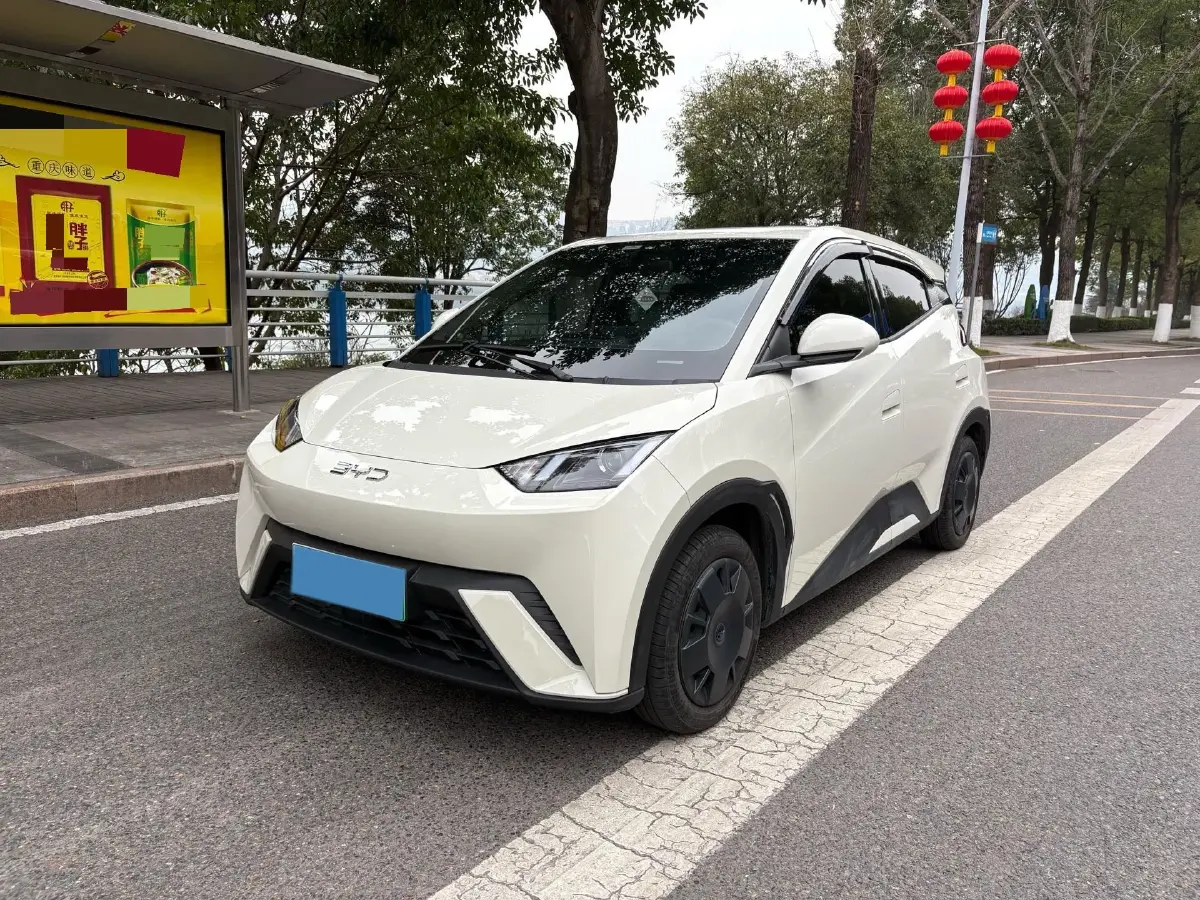 2025 BYD Seagull BEV 30.08KWH