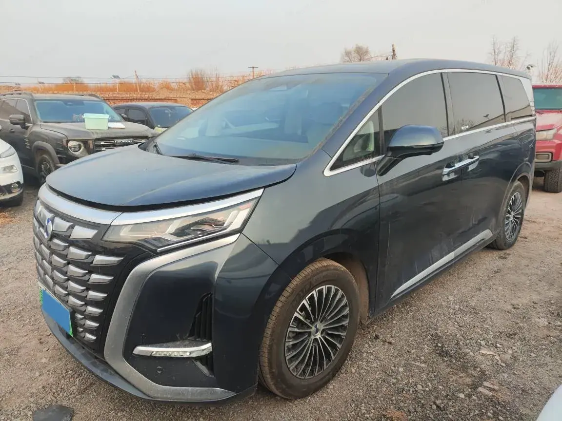 2023 Denza D9 1.5T 139HP L4 E-CVT PHEV 20.39KWH