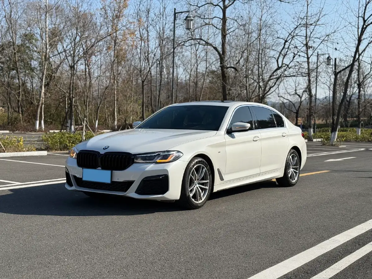 2020 BMW 5 Series 2.0T 184HP L4 8AT