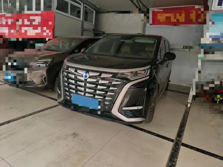 2023 Denza D9 1.5T 139HP L4 E-CVT PHEV 11.06KWH