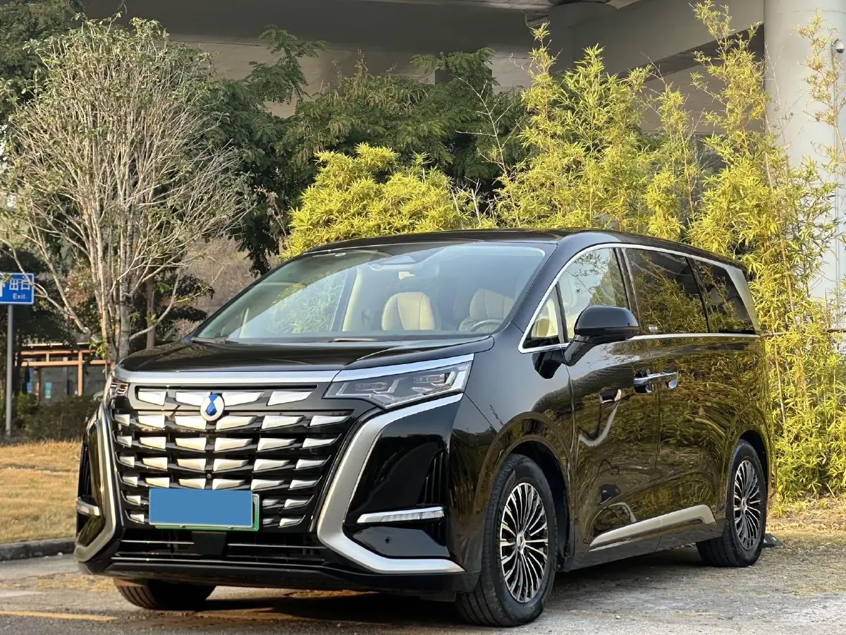 2024 Denza D9 1.5T 139HP L4 E-CVT PHEV 40KWH