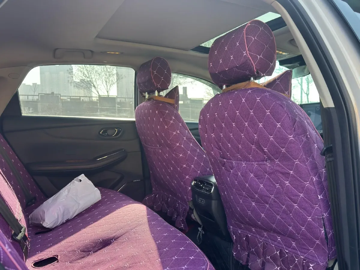 2024 ChangAn LanTuoZhe 2.0T 233HP L4 8AT,autocango,china used car exporter,china ev exporter,chinese used car exporter,chinese used ev exporter